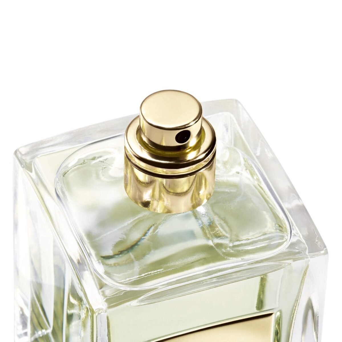 Armani Prive The Yulong Edu De Toilette Spray  , 3.4oz 100 ml - Image 2